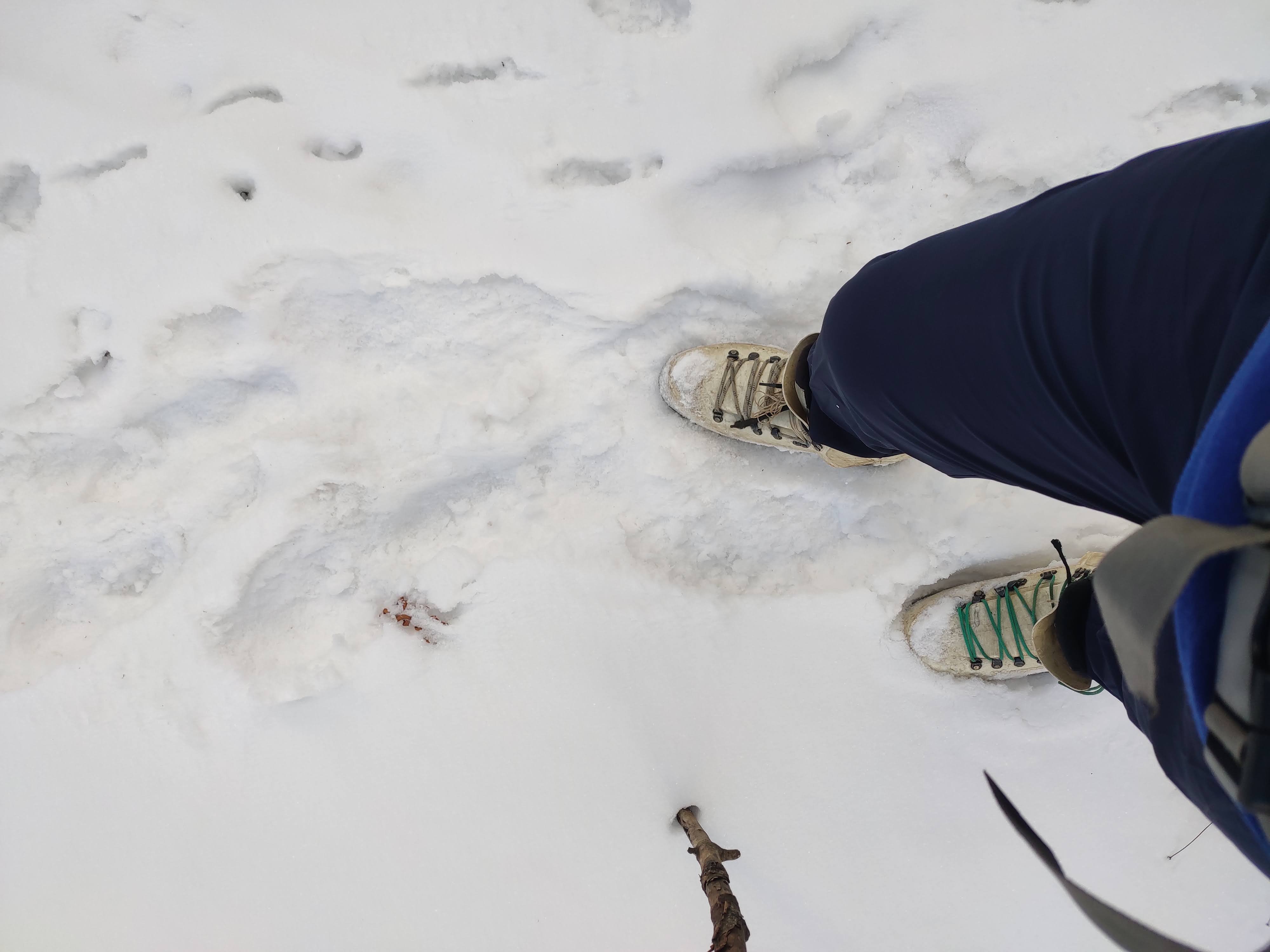 Figure 14: Snow boots are finally at their job!