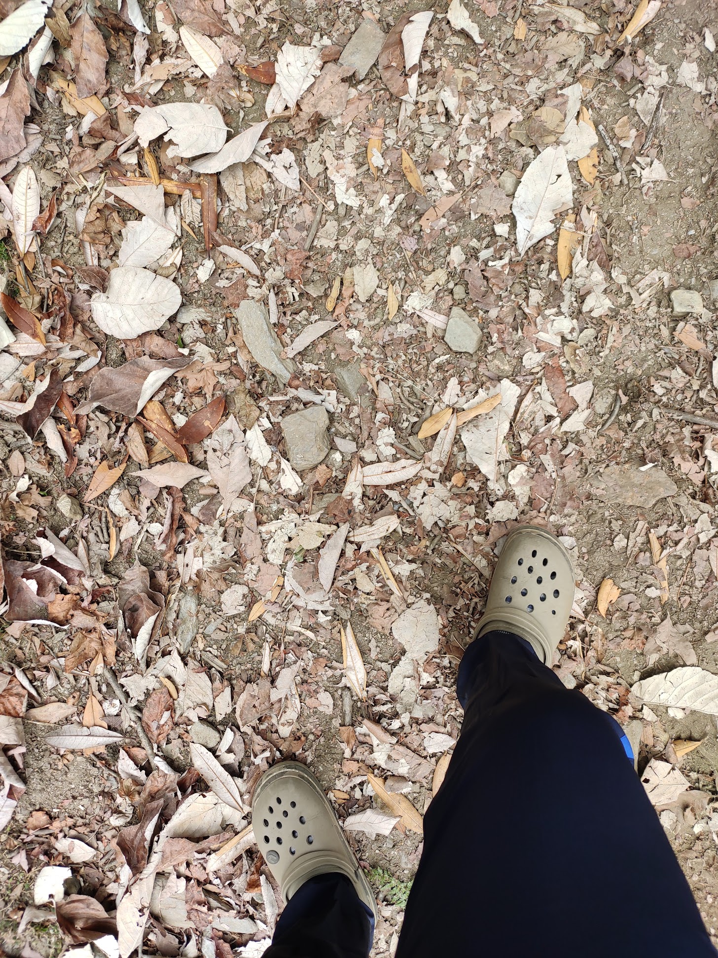 Figure 6: Crocs and mountains! Of course we do that here ;)