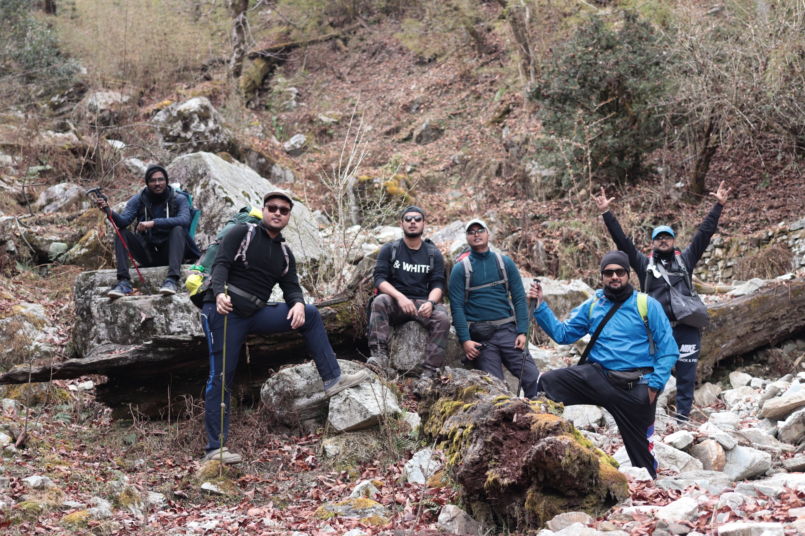 Figure 8: Broken tree trunks x streams!